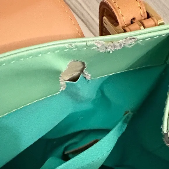 Authentic Vintage 1998 Louis Vuitton Biscayne Bag in Peppermint - Picture 5 of 16